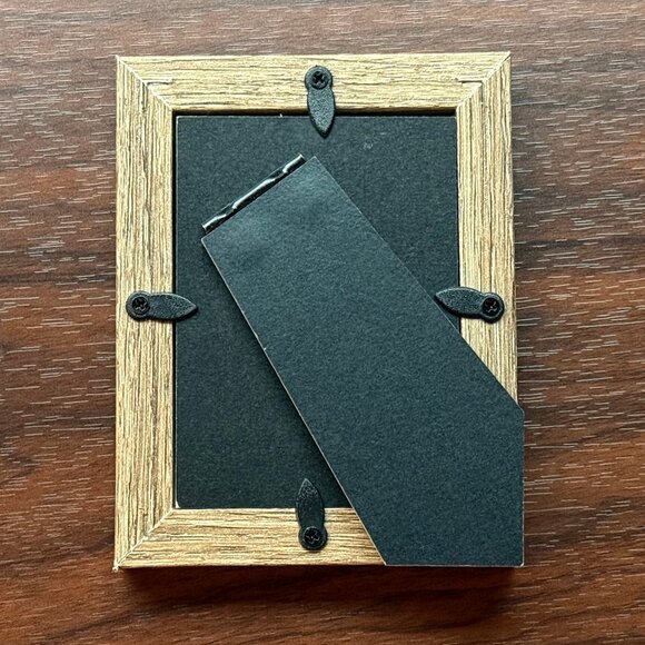 Art Watercolor and Ink Beetle Framed Handmade - Picture 3 of 3